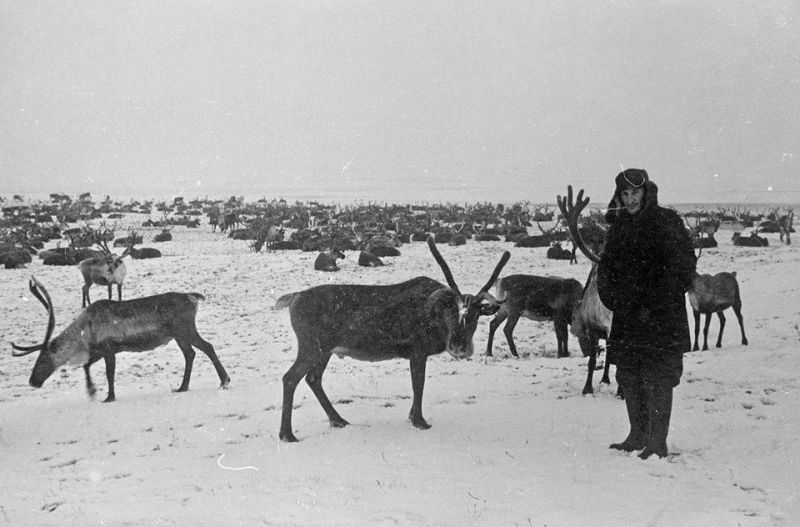 „Този север стресна душата ми“